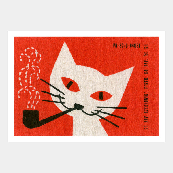 Smoking cat